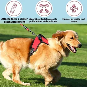 Meilleurs prix pour Harnais Chien Anti Traction Harnais pour Chien Réfléchissant pour Chien Réglable Respirant Rouge S