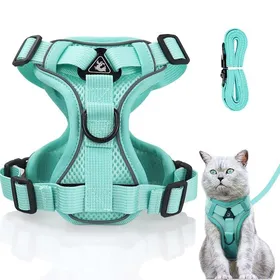 Comparer les prix de Harnais pour Chat - Anti-éclatement - Réglable - Vert Menthe - Taille S (Poitrine : 34-40cm Longueur : 15 m)