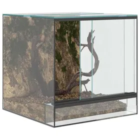 Meilleurs prix pour [38990]Terrarium avec stockage Transparent 30x30x30 cm VerrePoids:6.25 Kg