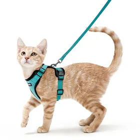 Comparer les prix de Harnais Chat Petit Chien Laisse Harnais Chaton Réglable Vert XS Collier Harnai Chat Refléchissant Gilet Respirant