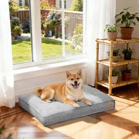 Comparer les prix de Panier Chien Orthopédique - BingoPaw - Lit pour Chien Coussin Déhoussable pour Chiens  Anti-dérapant - Gris 88.5x59.5x10cm