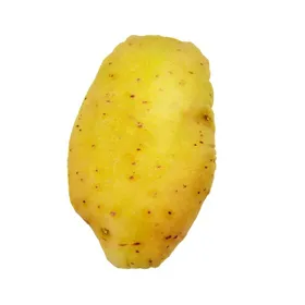 Comparer les prix de Jouet en peluche - GIGICIAL - Pomme de terre - Non toxique - Résistant aux morsures - 12 types disponibles