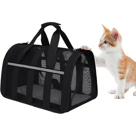 Comparer les prix de Sac de Transport pour Chat avec Matelas - Noir - Respirant et Pliable (33x25x22 cm) noir CAISSE DE TRANSPORT