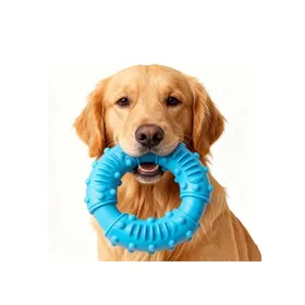 Meilleurs prix pour 13cm Jouet Indestructible Caoutchouc pour Mâcher Fort Jouets À Mâcher pour Petits Moyens Et Grands Chiens