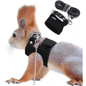 Meilleurs prix pour Laisse anti-morsure pour écureuil gilet réglable laisse pour petit animal convient aux hamsters et aux gerbilles