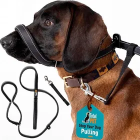 Meilleurs prix pour Lot de 8 laisses plates anti-traction pour chien - Réfléchissantes avec support de nez rembourré (180 cm) 180cm LAISSE