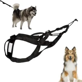 Meilleurs prix pour Harnais pour Chien de Traction – Harnais de traîneau pour Chien équipement pour lentraînement du comportement des G HARNAIS ANIMAL
