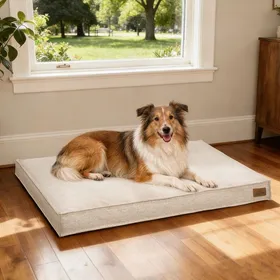 Meilleurs prix pour Panier Chien Orthopédique - BingoPaw - Lit pour Chien Coussin Déhoussable pour Chiens  Anti-dérapant - Kaki 103x69x10cm