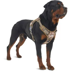 Meilleurs prix pour Harnais pour chien grand - MHY® - Sans traction - Réglable - Réfléchissant - Nylon durable - Système Molle