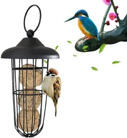 Meilleurs prix pour Mangeoire Oiseaux Extérieur, Suspendus Boule De Graisse Titulaire Outil d'alimentation