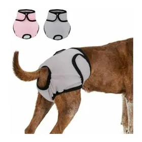Meilleurs prix pour Couches lavables pour chien - ULISEM - Lot de 2 - 37-55 cm - Absorbantes - Lavables - Forme de L - Culottes hygiéniques