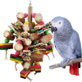 Meilleurs prix pour Jouets en Blocs de Bois Multicolores Naturels pour Perroquets Gris dAfrique et Amazones .