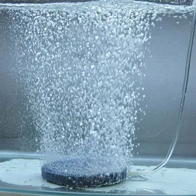 Comparer les prix de Disque diffuseur doxygène – Nosheir – 4 cm – Micro-bulles fines – Aquarium 30-60 cm