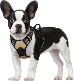 Comparer les prix de rabbitgoo Harnais Chien S Arnais Beige Anti Traction Réfléchissant Gilet Réglable pour Chien, Attache Devant Crochet de Laisse