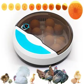 Meilleurs prix pour Couveuse Oeuf Automatique - Incubateur Oeuf Poule 9 Oeufs avec contrôle de la température - idéal pour pour Volaille Caille Oie