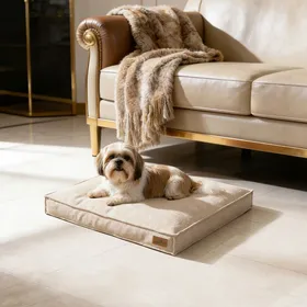 Comparer les prix de Panier Chien Orthopédique - BingoPaw - Lit pour Chien Coussin Déhoussable pour Chiens  Anti-dérapant - Kaki 75x50.5x10cm