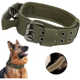 Comparer les prix de Collier de Chien - Non spcifi - Taille M - Nylon Rembourr - Boucle Mtallique - Vert Rflchissant Vert Vert COLLIER