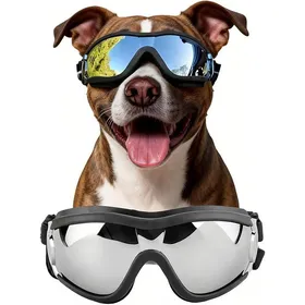 Meilleurs prix pour Lunettes de Protection Coupe-Vent pour Chiens de Taille Moyenne et Grande Taille Transparent