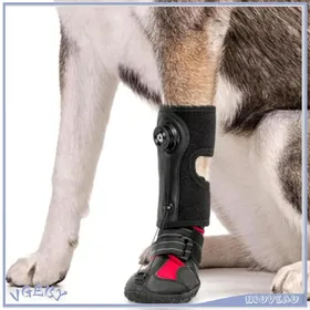 Comparer les prix de VGEBY Attelle de pied de chien Attelle de pied pour chien respirante intégrée résistante à labrasion semelle animalerie kit M.