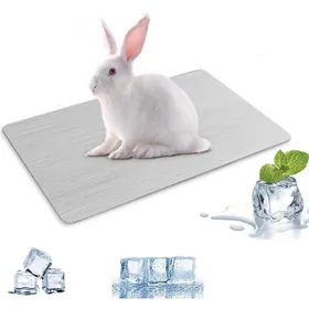 Meilleurs prix pour Coussin rafraîchissant pour lapin hamster animal de compagnie plaque de refroidissement en alliage 20cm x 30cm