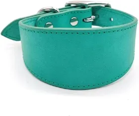 Meilleurs prix pour Leathers Collier rembourr doux pour whippets salukis lvriers Collier rglable pour chiens de raceVertS couleurs multiples Largeight