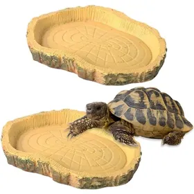 Meilleurs prix pour 2 Gamelles Tortue Terrestre Reptiles Abreuvoir Amphibiens Lézards Grenouilles Geckos Nourriture