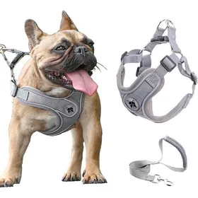 Comparer les prix de Ensemble harnais et laisse pour chien - MICH - Taille moyenne - Gilet en maille souple - Réglable sans tension
