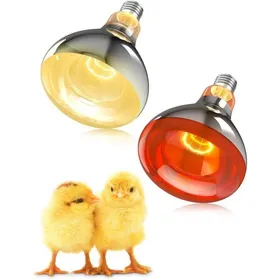 Meilleurs prix pour Lot de 2 Set de Ampoule Chauffante 250W E271x Infrarouge Lumière Rouge + 1x Lumière du Jour pour Lampes Chauffantes Volailles