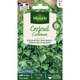 Meilleurs prix pour Cerfeuil commun - VILMORIN - Plante aromatique - Parfum subtil et délicat - Fines herbes