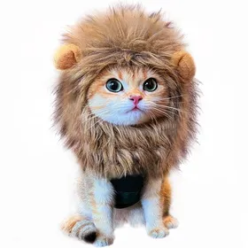 Comparer les prix de Perruque crinière de chat et de lion costume pour animaux de compagnie ajustable lavable confortable style unique convient