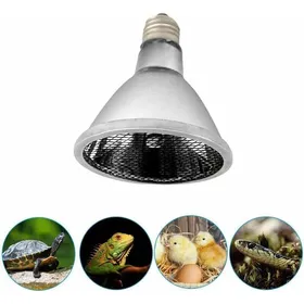 Meilleurs prix pour Lampe chauffante infrarouge - MICH - 60W - E27 - Terrarium reptiles - Poulailler - Chiot - Facile à installer - Durable