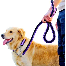 Meilleurs prix pour Dog leather with tension rope training leash collar training walker jogging purple