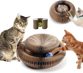 Comparer les prix de 2 en 1 Planche à gratter pour Chats Planche à gratter pour ChatsOrgue Magique Planche à gratter pour Chats avec Boule à