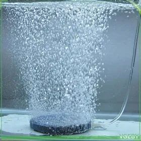 Meilleurs prix pour Pierre à air - FAFEICY - 40 mm - Convient aquariums 30–60 cm - Frittée haute température - Ø tube 4 mm