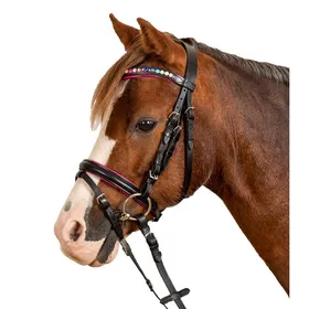 Meilleurs prix pour Bridon équitation muserolle combinée Star Pinky - Mini Shetland