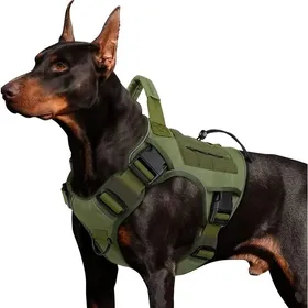 Meilleurs prix pour Harnais Chien tactique XJYDNCG Anti-tractionImperméablepour Chiens de Moyenne et Grande Taille - BRW001 - M - Vert