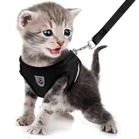 Comparer les prix de Sangle pour chien et chat en cuir pour la marche gilet de traction respirant style gilet (noir)