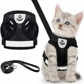 Comparer les prix de Ensemble harnais et laisse pour chiot/chat, gilet anti-fuite réglable, laisse de poitrine en maille souple respirante pour chiens