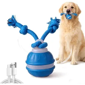 Meilleurs prix pour Jouet interactif pour chien – Balle électrique roulante automatiquement – Avec corde et sons d’oiseaux – Convient aux chiens petit