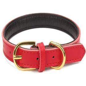 Comparer les prix de Colliers classiques de base en cuir rembourré pour animaux de compagnie pour chats chiots petits et moyens chiens YYV
