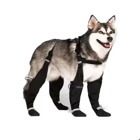 Meilleurs prix pour Bottes ChienBottes à Bretelles pour ChiensEnsemble de 4 Chaussures pour Chiens AntidérapantSouples Et Imperméables-Noir L