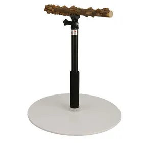 Meilleurs prix pour Support de perchoir à oiseaux en bois naturel,support de jeu portable et amovible pour perroquets,support de jeu pour perroquetseur