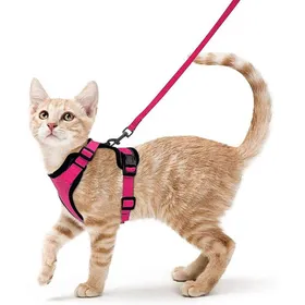 Meilleurs prix pour Harnais et laisse pour chat - Phoesky - Gilet souple - Réglable - Anti-fuite - Bandes réfléchissantes - Rose - Taille S