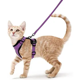 Meilleurs prix pour Harnais et laisse pour chat - Phoesky - Gilet souple - Réglable - Anti-fuite - Bandes réfléchissantes - Pourpre