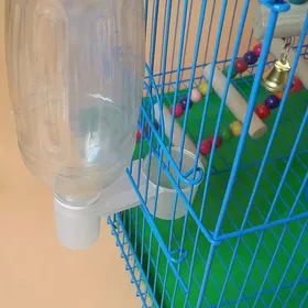 Meilleurs prix pour SALALIS tasse dabreuvoir pour pigeons SALALIS Tasse dabreuvement deau pour oiseaux Buveur deau en animalerie croquette