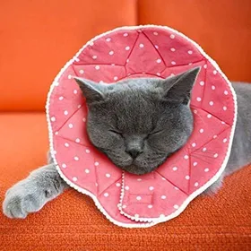Comparer les prix de Collerette post-chirurgie - YNKKVRE - Rose - Résistante aux morsures - Imperméable - Ajustable