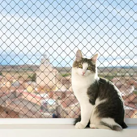 Comparer les prix de Filet Chat Balcon 8x3m Protection Nylon de Sécurité Balcon