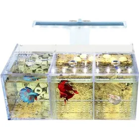 Meilleurs prix pour Aquarium LED Acrylique Betta Ensemble de LAquarium Mini Pompe Eau de Bureau Filtres-Triple Clair Clair AQUARIUM