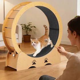 Meilleurs prix pour Arbre à Chat Roue Dexercice Pour Chat Silencieuse Et Robuste Piste Recouverte De Moquette Amovible Jaune