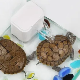 Meilleurs prix pour Pompe de tortue de cascade EN-02 - Tbest - Filtre 3 en 1 - Silencieux - Filtre en coton